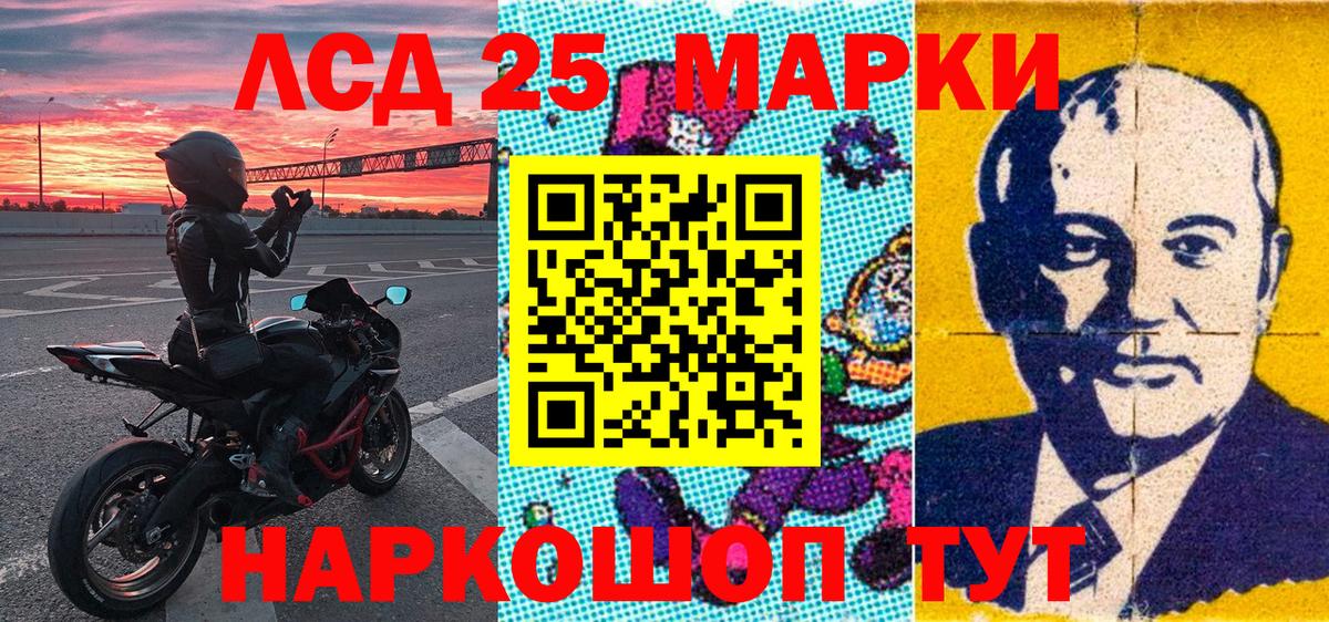 Наркотические марки  Наркотические марки 1500мкг  Вход с VPN  Котовск  Наркотические марки 1500мкг 