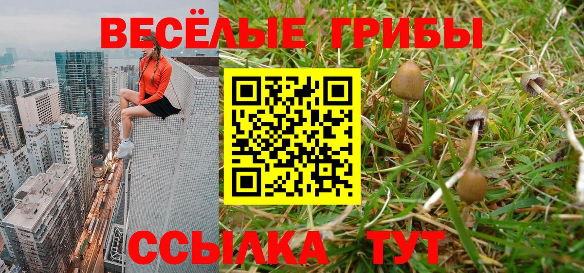 Галлюциногенные грибы прущие грибы Котовск
