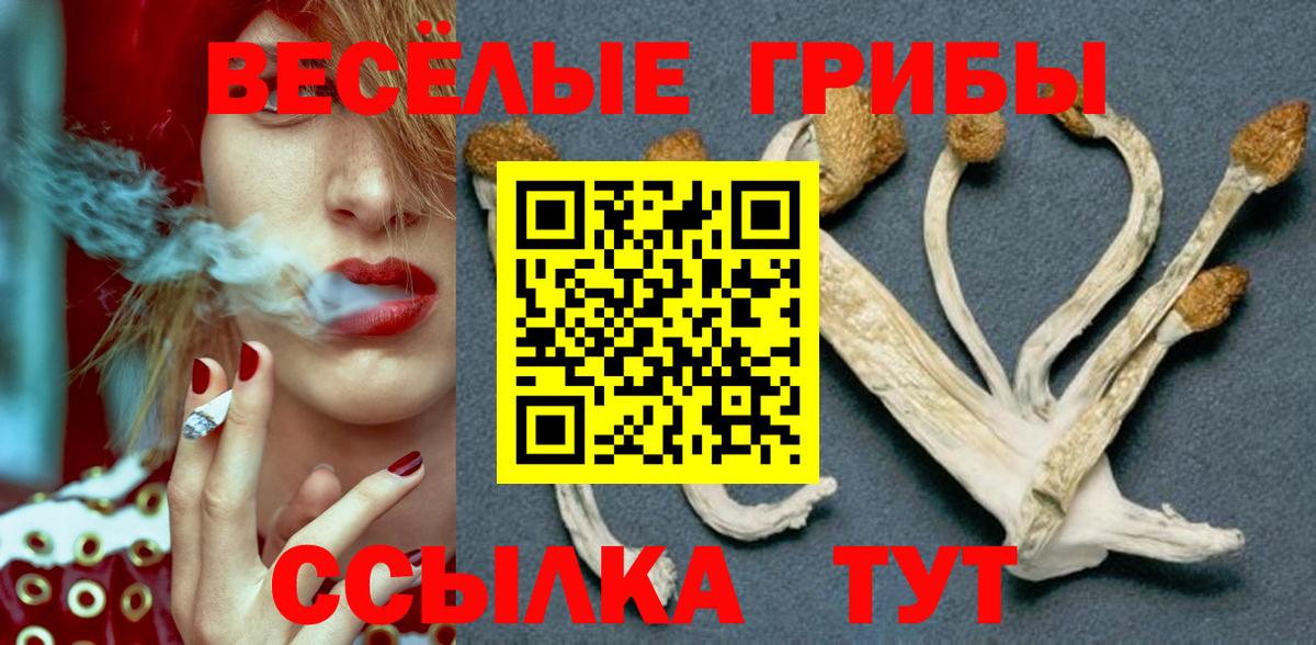 Галлюциногенные грибы мицелий  Галлюциногенные грибы мицелий  Котовск  Вход с VPN 